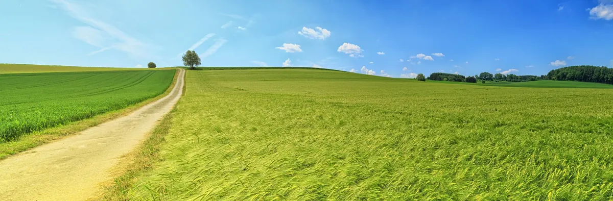 Opinion: Protect the Shire's Green Belt from Overdevelopment